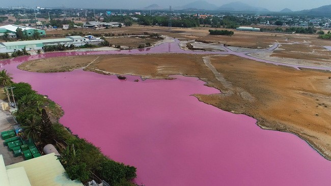 Đầm chứa nước tại Bà Rịa – Vũng Tàu đổi màu do ô nhiễm (Nanoen)