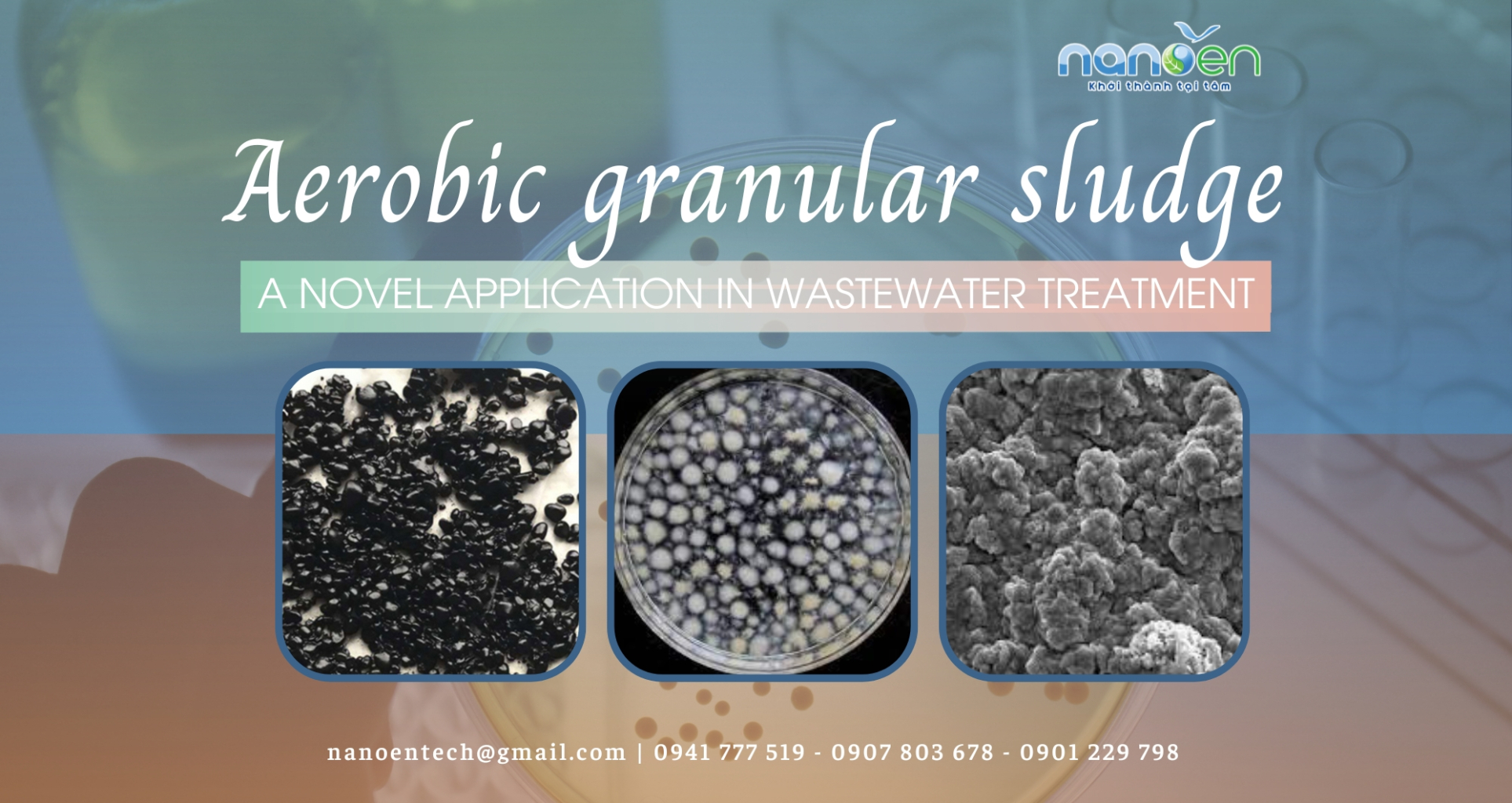 Aerobic granular sludge