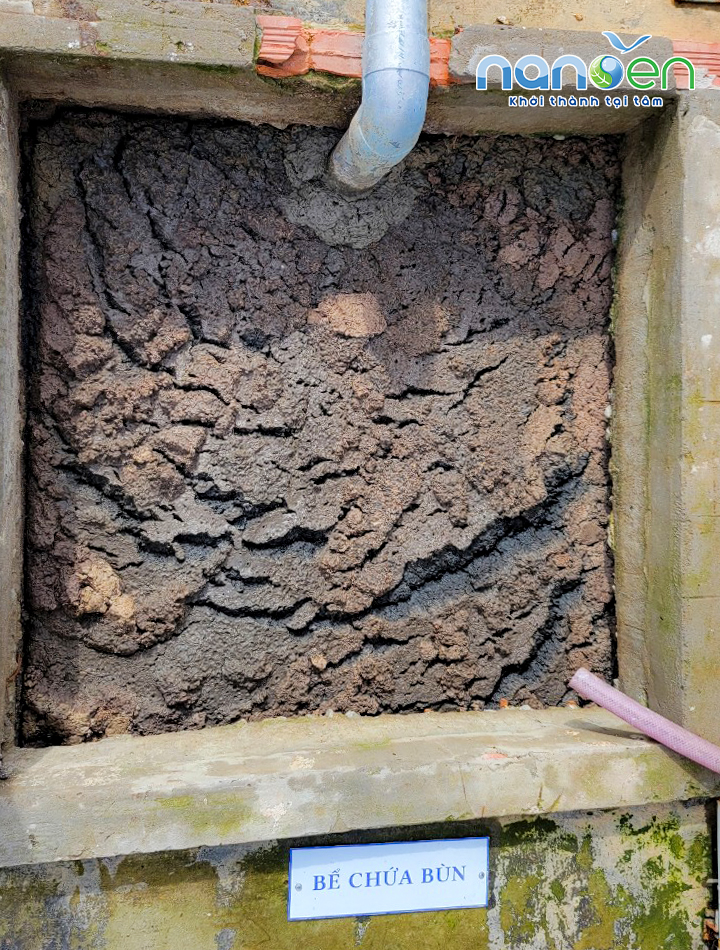 Bùn thải phát sinh từ quá trình xử lý nước thải công nghiệp có thể chứa hàm lượng cao các kim loại nặng 