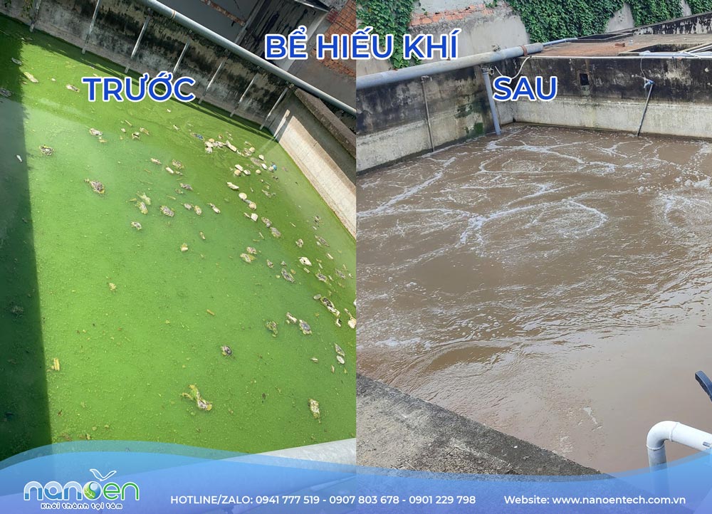 Cải tạo bể hiếu khí hệ thống xử lý nước thải thủy sản trước và sau – Nanoen
