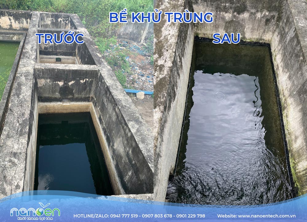 Cải tạo bể khử trùng nước thải thủy sản trước và sau – Nanoen