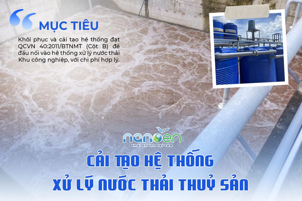 Dự án cải tạo hệ thống xử lý nước thải thủy sản đạt quy chuẩn môi trường với chi phí tối ưu
