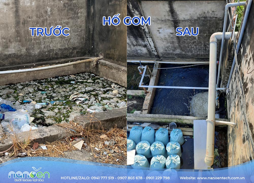 Hố gom nước thải thủy sản trước và sau cải tạo – Nanoen
