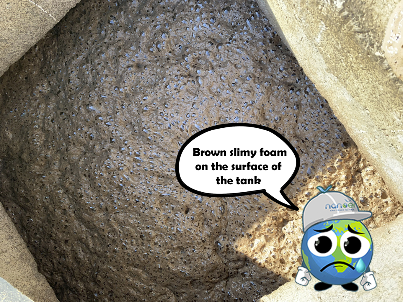 Brown slimy foam on the surface of the tank