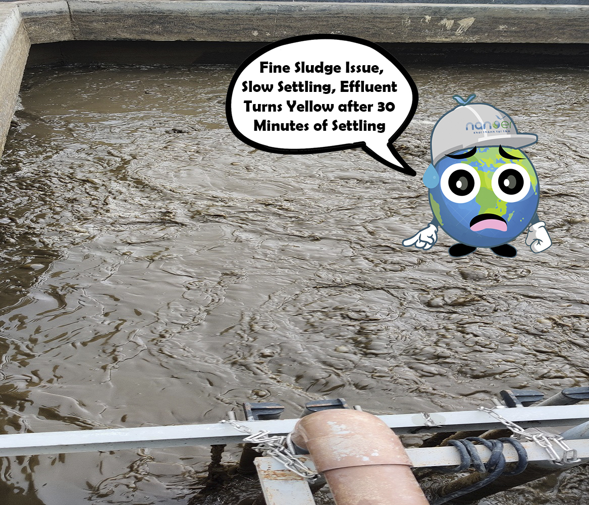 Fine Sludge Issue, Slow Settling, Effluent Turns Yellow after 30 Minutes of Settling