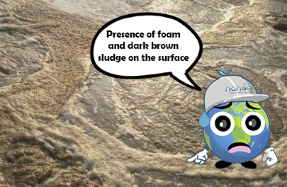 Presence of foam and dark brown sludge on the surface