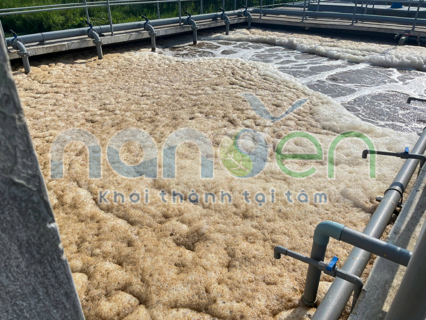 Sốc tải là hiện tượng hệ thống tiếp nhận lượng nước thải hoặc tải lượng ô nhiễm tăng đột ngột trong thời gian ngắn, vượt quá khả năng xử lý của bể sinh học.