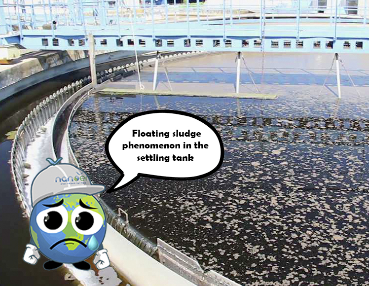 Floating sludge phenomenon in the settling tank