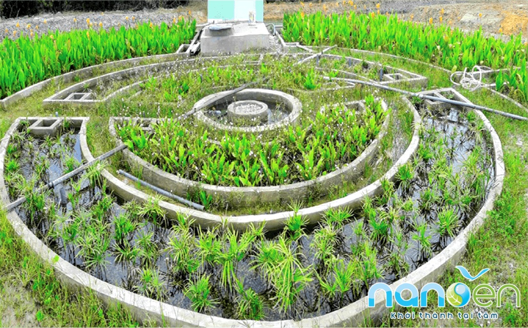 Hệ thống XLNT công nghệ Wetland do Nanoen thiết kế và xây dựng tại Công ty Cổ Phần Nông Trại Sinh Thái - Phú Quốc, Kiên Giang