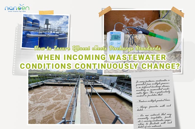 Infographic on wastewater control when input is constantly fluctuating and solutions to ensure output wastewater meets regulatory discharge standards.
