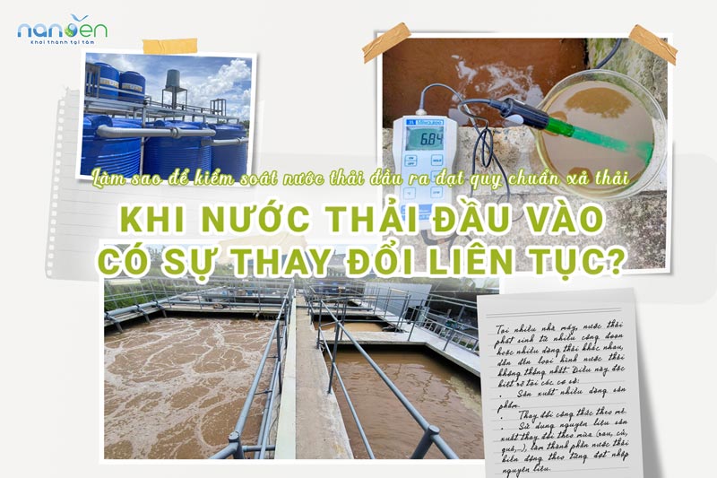 LÀM SAO ĐỂ KIỂM SOÁT NƯỚC THẢI ĐẦU RA ĐẠT QUY CHUẨN XẢ THẢI KHI NƯỚC THẢI ĐẦU VÀO CÓ SỰ THAY ĐỔI LIÊN TỤC?