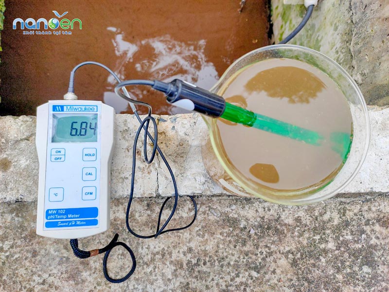 Nhân viên vận hành kiểm tra độ pH của mẫu nước thải đầu vào để đánh giá sự biến động trước xử lý