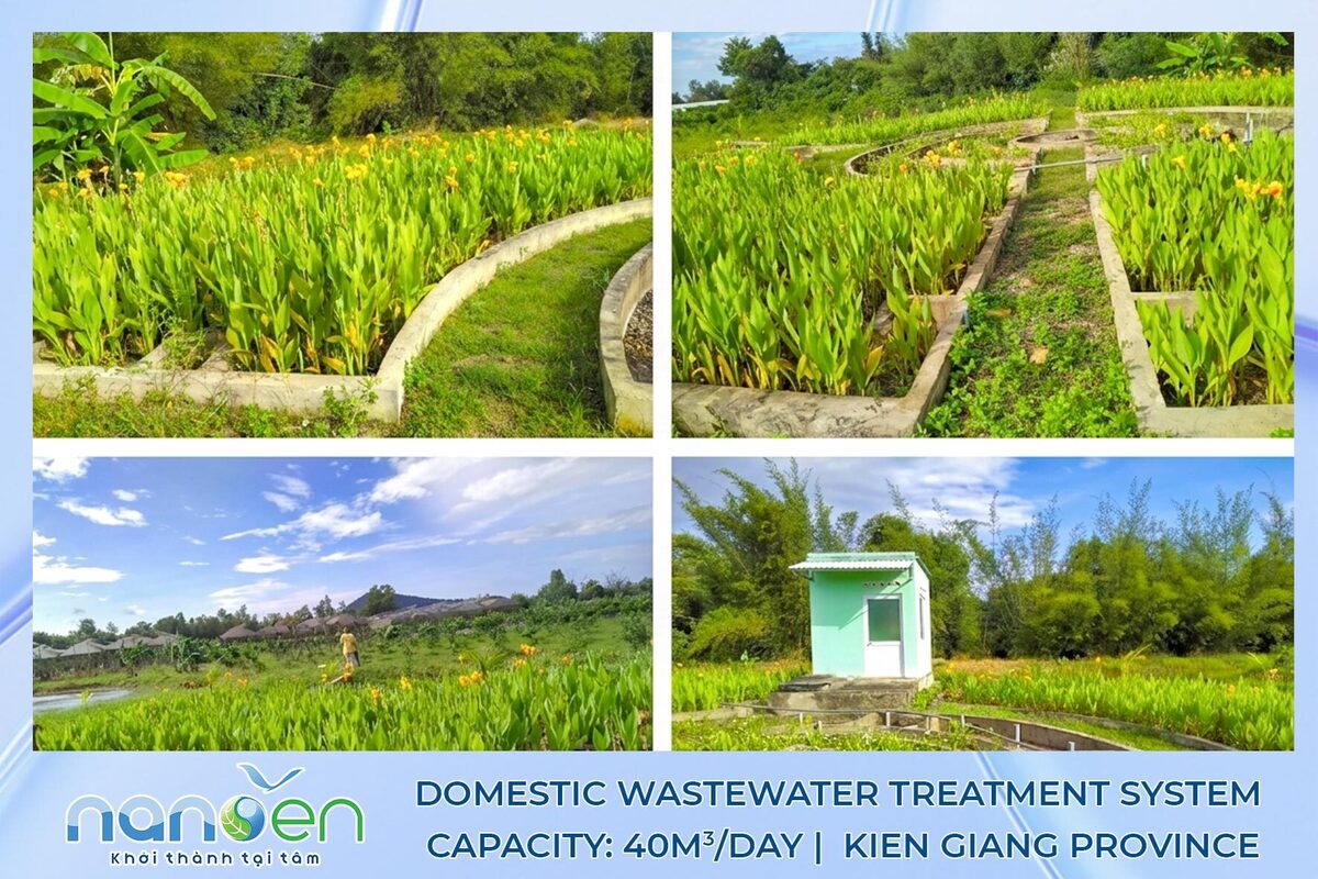 Constructing a domestic wastewater treatment system using WETLAND technology in Kien Giang
