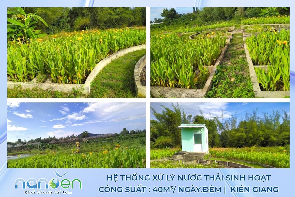 Xây Dựng Hệ Thống Xử Lý Nước Thải Sinh Hoạt áp dụng Công Nghệ WETLAND tại Kiên Giang