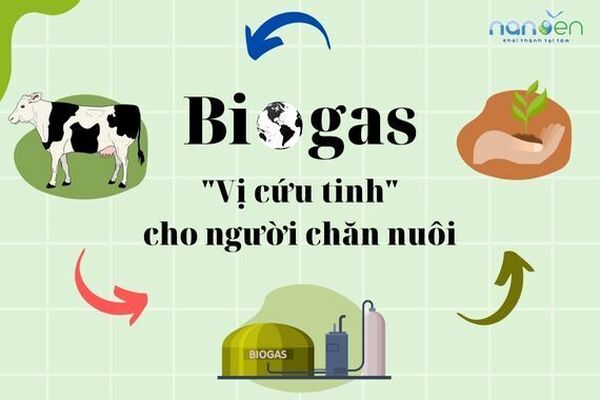 Hầm Biogas "vị cứu tinh" cho người chăn nuôi